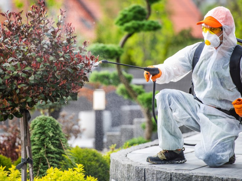 Başmakçı Haşere İlaçlama